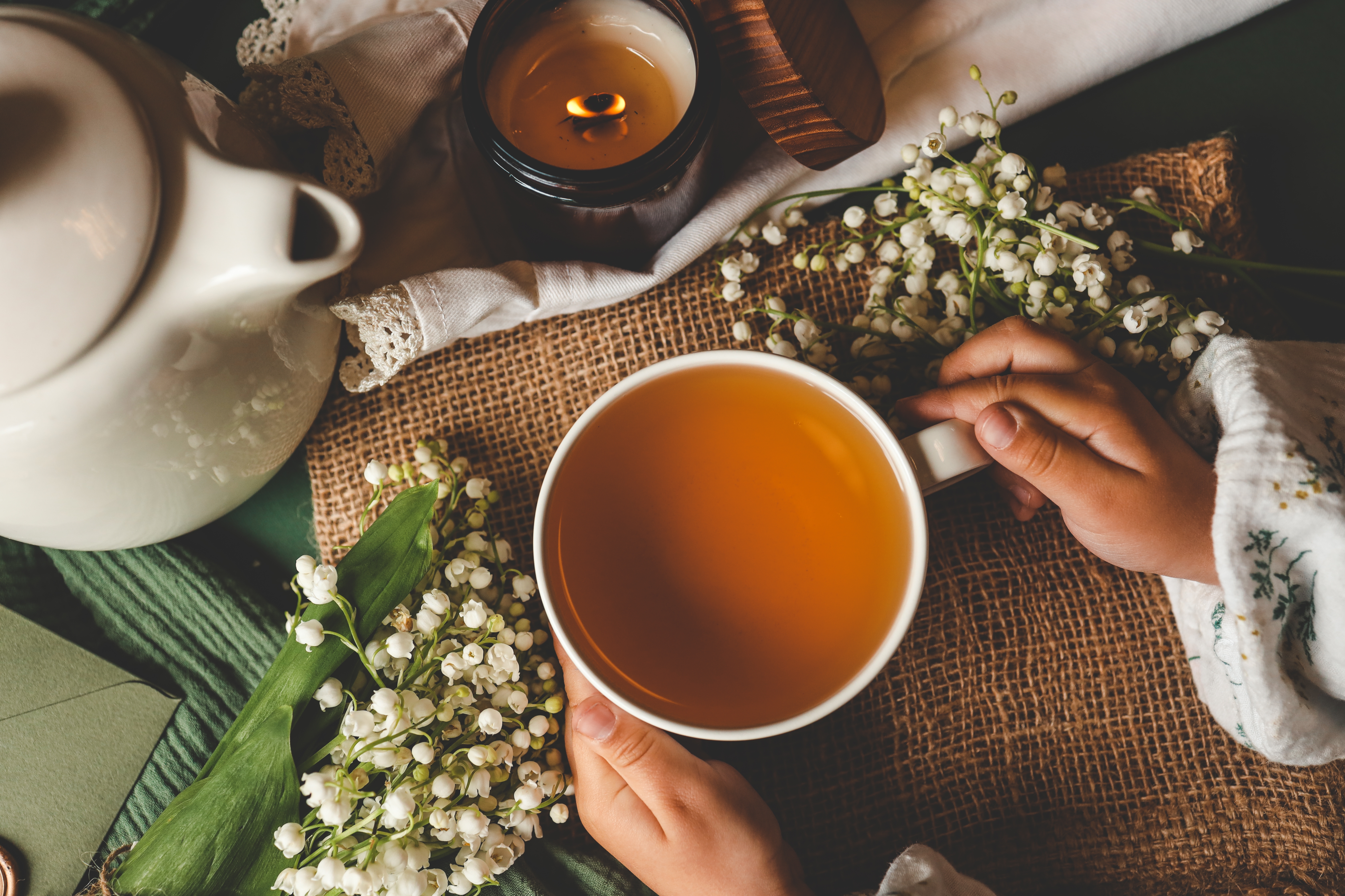 DAVIDsTEA Canada brand image