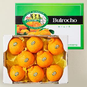 Gift of Jeju’s Nature Premium Bullocho Hallabong 2kg (6–10 fruits) item image
