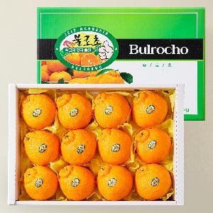 Gift of Jeju’s Nature Premium Bullocho Hallabong 3kg (10–15 fruits) item image