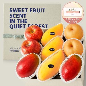 “Ribbon Message” Fruit Walk No.3 Heartfelt Mixed Fruit Gift Set 3.9kg+ (9 types/11 pcs) product image