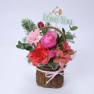 Tasha Carnation product image