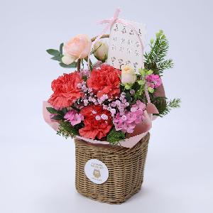 Floria Carnation product image