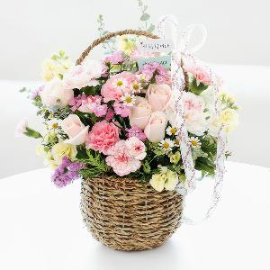 Eternity_PD product image