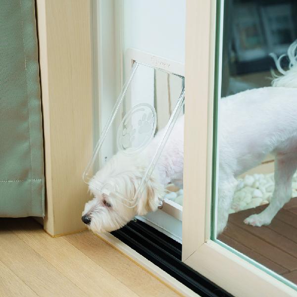 Dog Safety Gate for Dogs and Cats – Veranda Pet Door product image