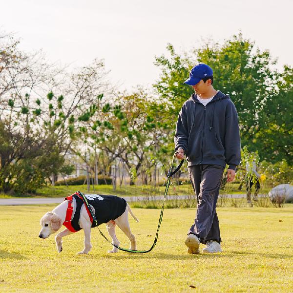 Hands-Free Waist Dog Leash (L312_Green) product image