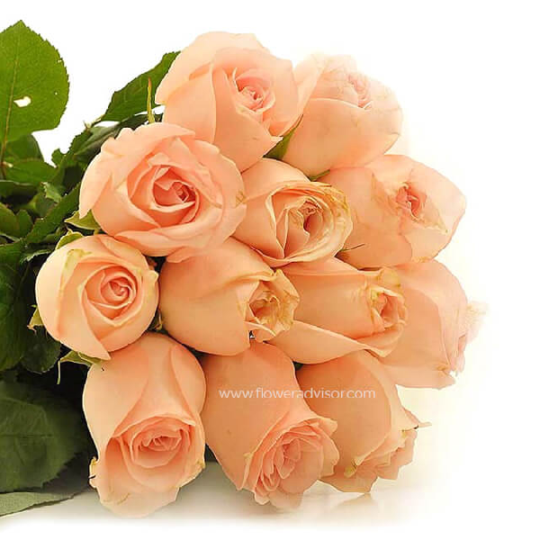 ピーチの愛のキス item image