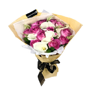 찬란한 우아함 item image