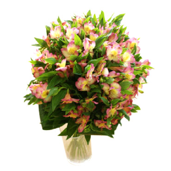 クリスタルの森 item image