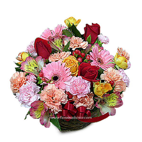 あなたを照らす光 item image