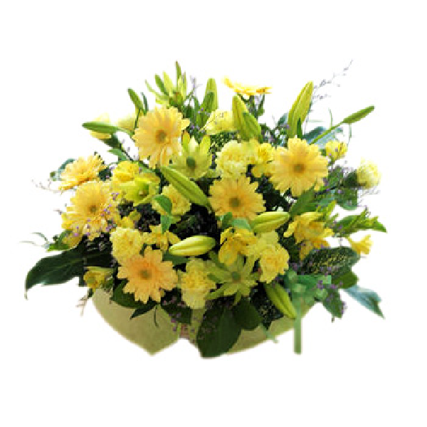 陽光のダンス item image