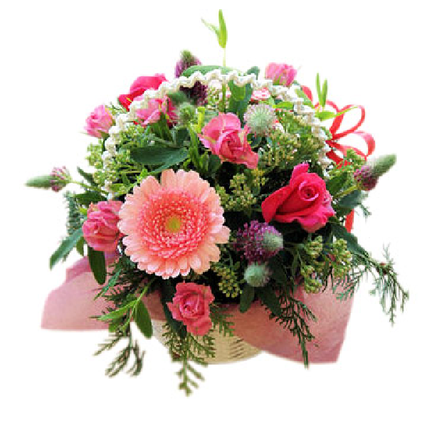 トゥインキーズピンキーズ item image