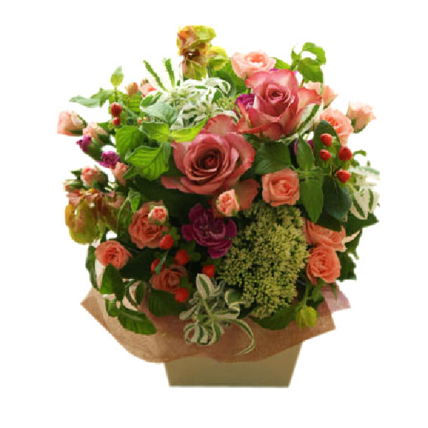 春の花咲き item image