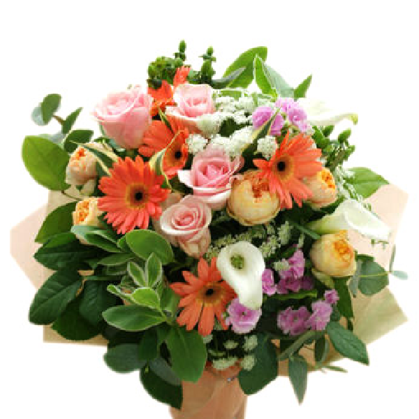 パステル完璧主義者 item image