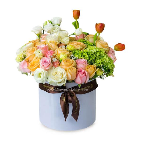 妖精の驚き item image