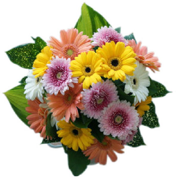 夏の詩 item image