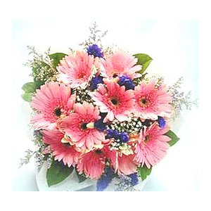Pink splashes item image