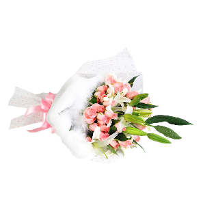 Downy item image