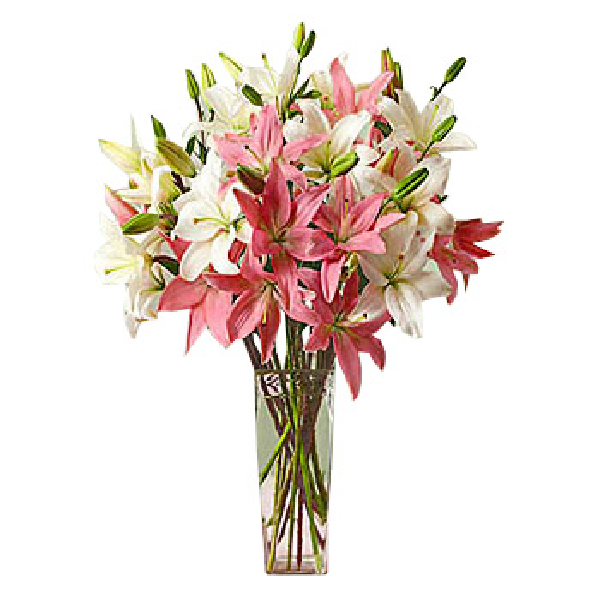 Taste of the oriental item image