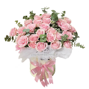 우아한 핑크 item image