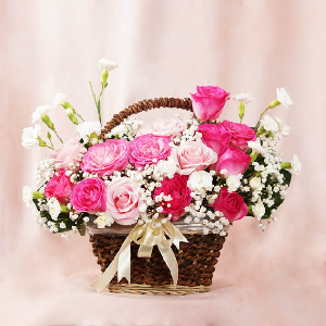 수줍은 고요함 item image