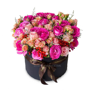 페넬로페 item image