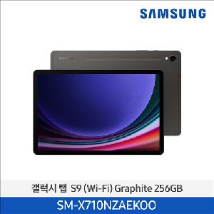Galaxy Tab S9 (WiFi/256GB) (Graphite) SM-X710NZAEKOO product image