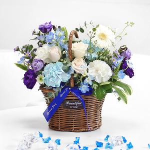Summer Night product image