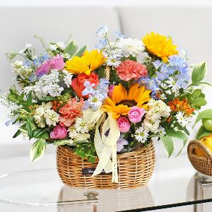 Tropical Mood product image