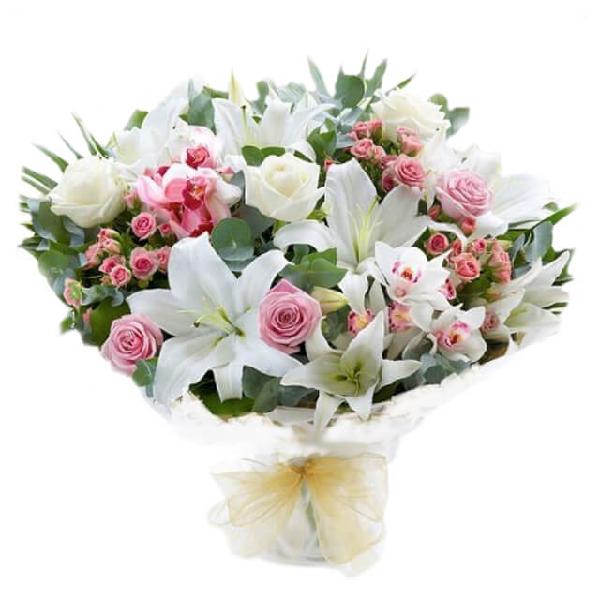 Stun The Soul product image