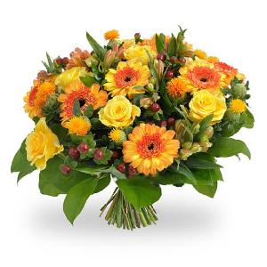 Rising Giant product image