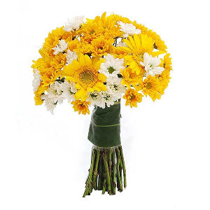 Golden glow product image