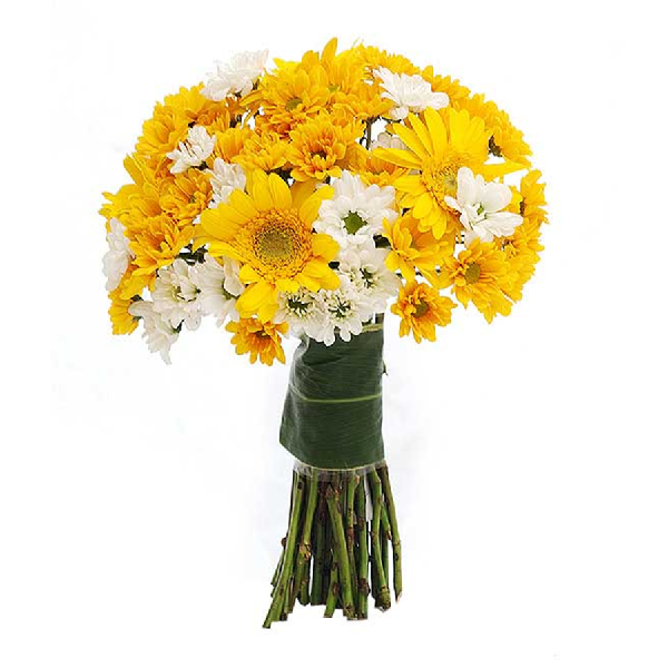 Golden glow product image