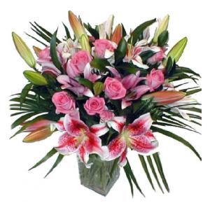 Elegaze product image