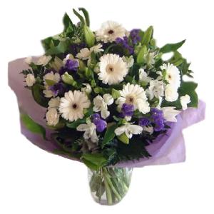 Lighting blu product image