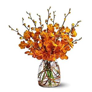 Fresh Oranges product image