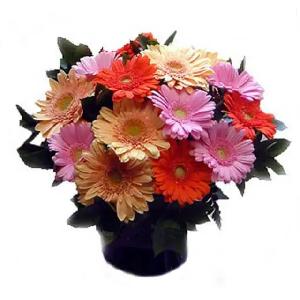 Vibrano product image