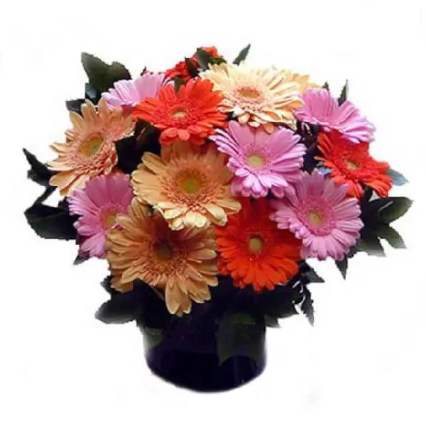 Vibrano product image