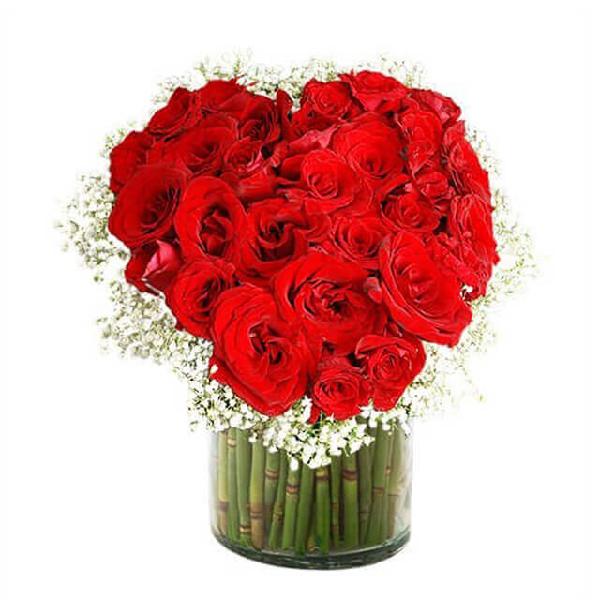 Fearless Love product image