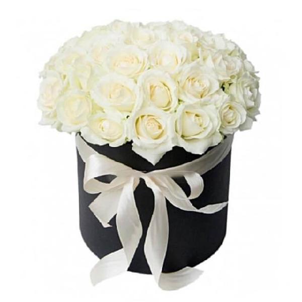 White In Black product image