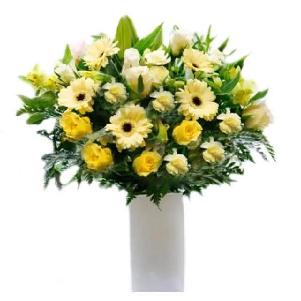 Blight product image