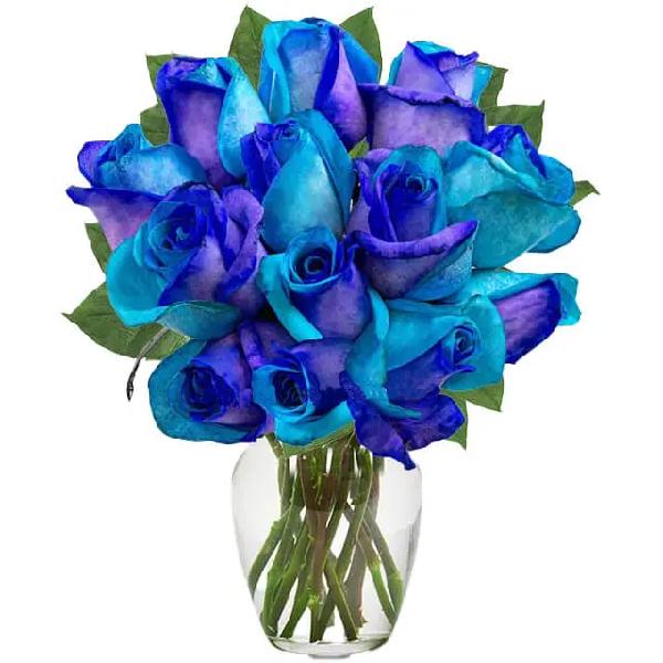 One Dozen Ocean Blue Roses product image