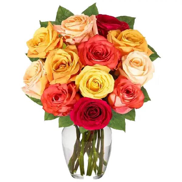 One Dozen Fall Roses product image