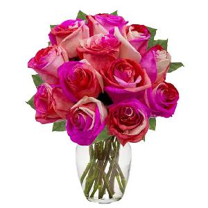 One Dozen Wild Pink Roses product image