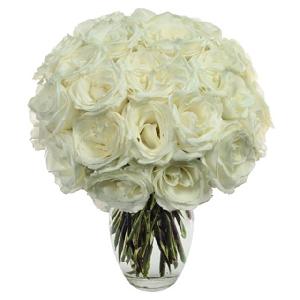 Two Dozen White Roses product image