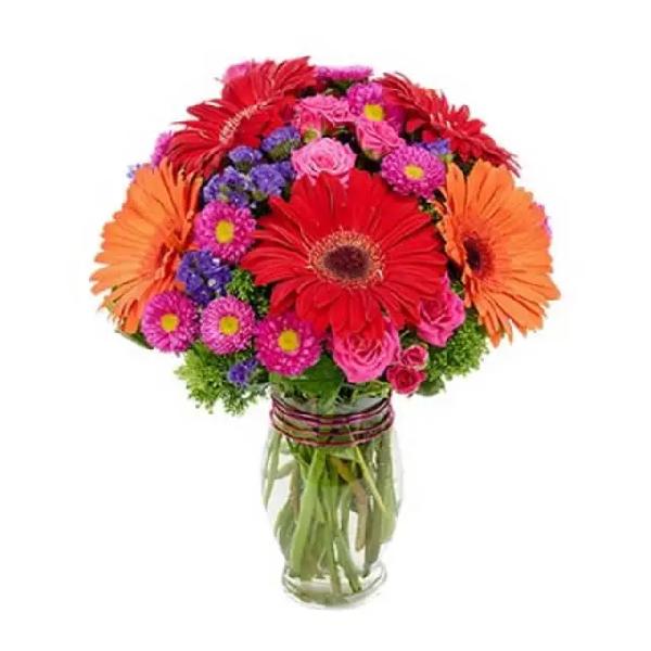 Full of Wonder product image