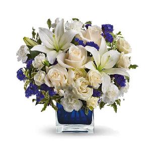 Clear Blue Skies product image