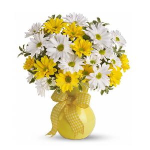 Classic Yellow and White Daisies product image