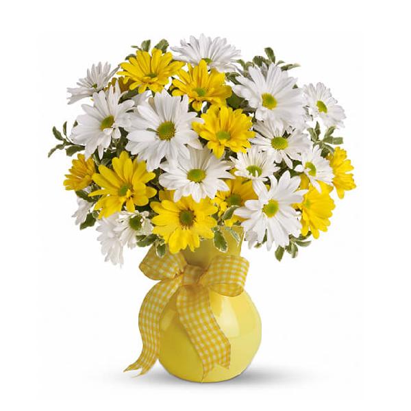 Classic Yellow and White Daisies product image