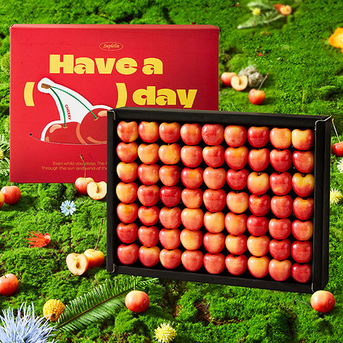 韓国スプリン爽やか “HAVE A CHERRY DAY” チェリーギフトセット 650g