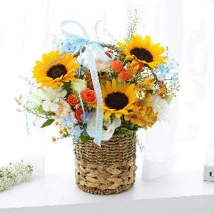 패션후르츠 item image